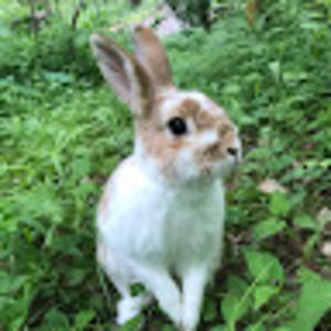 Meet your Posher, Claire